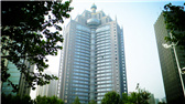洛陽開元礦業集團有限公司，始成立于2006年，主營業務涵蓋礦產品貿易、礦山開發、酒店服務、房地產開發和金融投資等，集團位于洛陽市開元大道世貿中心；中國民主建國會會員、青年企業家許明月先生是公司創始人和實際控制人，目前任洛陽開元礦業集團有限公司董事長兼總經理。