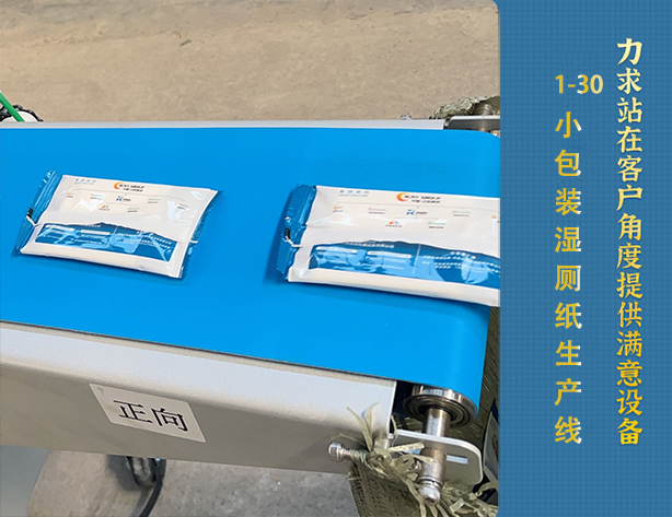 1-30片小包裝濕廁紙生產(chǎn)線