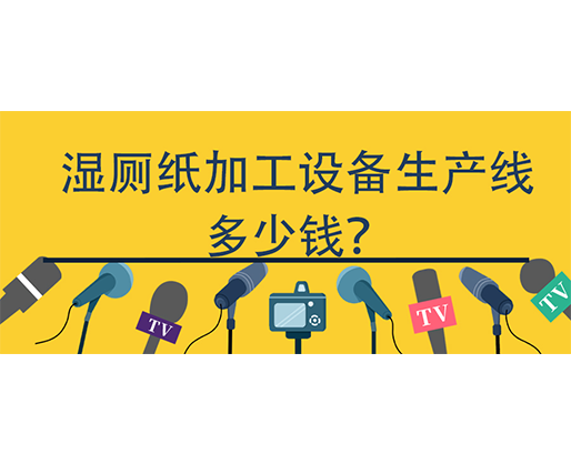 濕廁紙加工設(shè)備生產(chǎn)線多少錢(qián)？